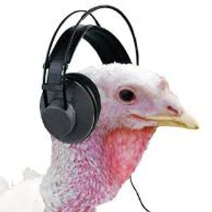 Turkey with headphones