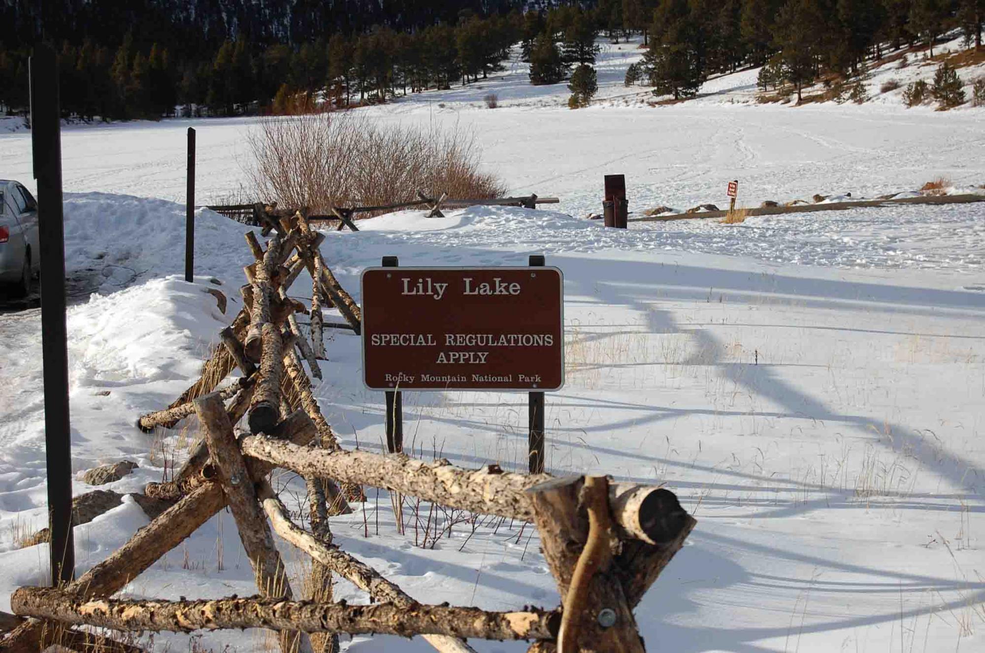 Lily Lake